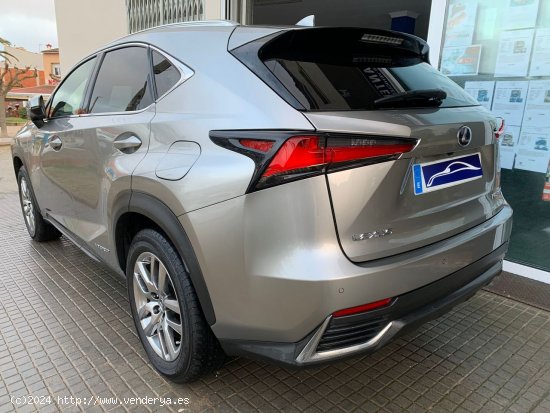 Lexus NX 300h AWD hybrid Executive navigation - Palamós