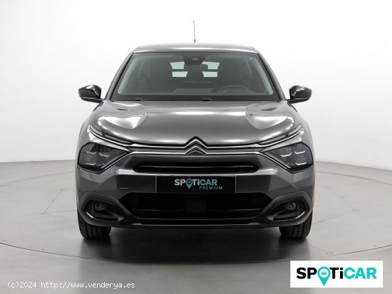 Citroën C4 BlueHdi 110 S&S Feel Pack - Sabadell