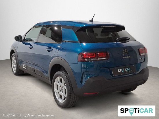 Citroën C4 Cactus PureTech 81KW (110CV) S&S Feel - Sabadell