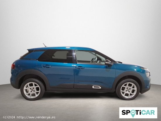 Citroën C4 Cactus PureTech 81KW (110CV) S&S Feel - Sabadell