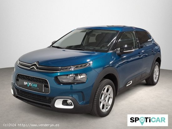 Citroën C4 Cactus PureTech 81KW (110CV) S&S Feel - Sabadell