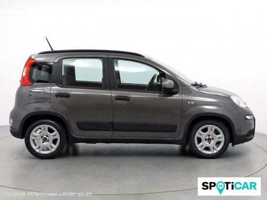 Fiat Panda City Life Hybrid 1.0 Gse 51kw (70CV) - Sabadell