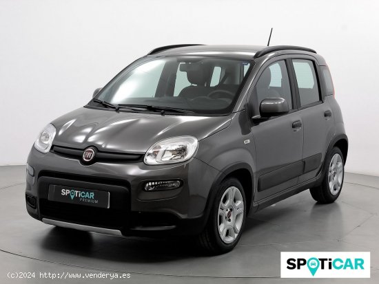 Fiat Panda City Life Hybrid 1.0 Gse 51kw (70CV) - Sabadell