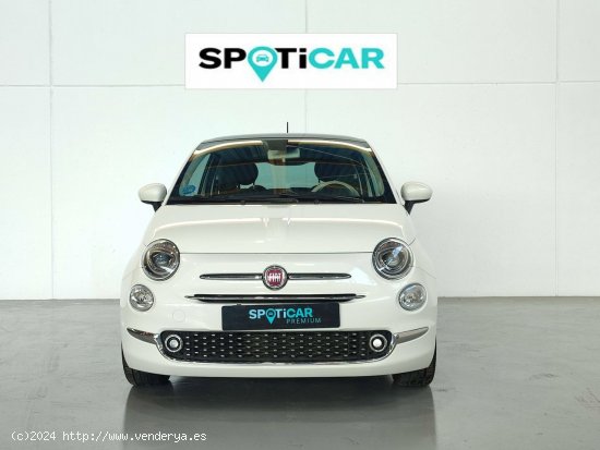 Fiat 500   1.0 Hybrid 51KW (70 CV) Dolcevita - Mataro