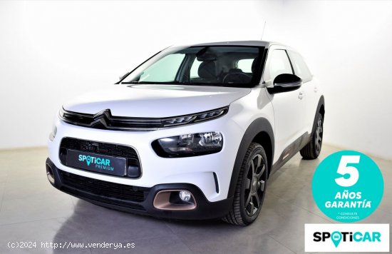  Citroën C4 Cactus  BlueHDi 100 S&S Origins - zaragoza 