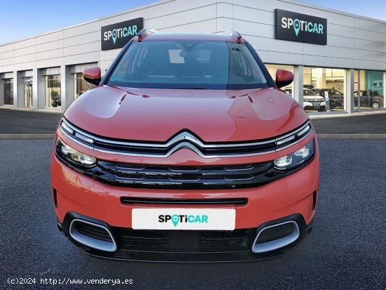 Citroën C5 Aircross  BlueHdi 96kW (130CV) S&S Shine - zaragoza