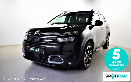 Citroën C5 Aircross  BlueHdi 96kW (130CV) S&S Shine - zaragoza