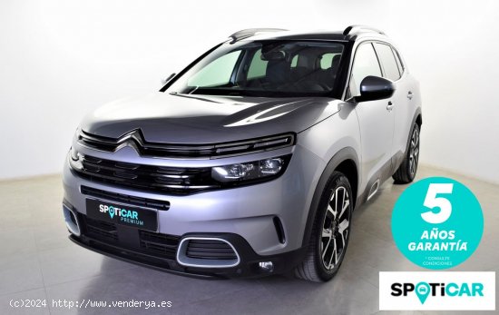 Citroën C5 Aircross  BlueHdi 96kW (130CV) S&S Shine - zaragoza