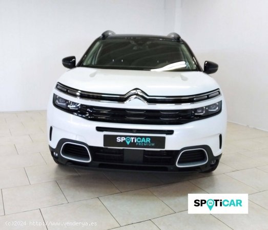 Citroën C5 Aircross  BlueHdi 132kW (180CV) S&S EAT8 Shine - Lugo