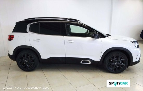 Citroën C5 Aircross  BlueHdi 132kW (180CV) S&S EAT8 Shine - Lugo