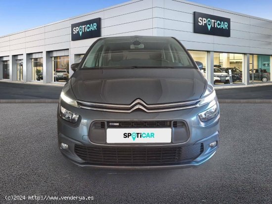 Citroën C4 Picasso  PureTech 96KW (130CV) S&S 6v Live - Figueres