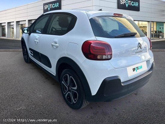 Citroën C3  BlueHDi 75KW (100CV) Plus - castellon