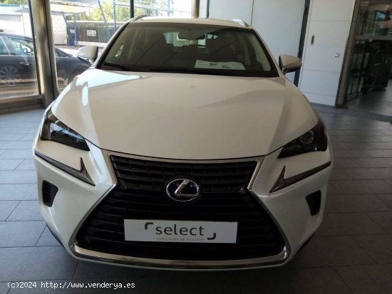 Lexus NX  2.5 300h  Navigation 2WD Business - MANZANARES