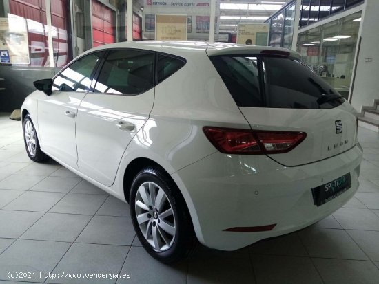 Seat Leon  1.0 EcoTSI 85kW St&Sp Reference Edition - MANZANARES