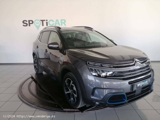 Citroën C5 Aircross  225 e-EAT8 Feel Pack - CIUDAD REAL