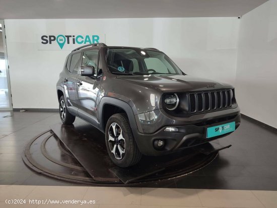 Jeep Renegade  2.0 Mjet  4x4 125kW Auto AD Low Trailhawk - CIUDAD REAL