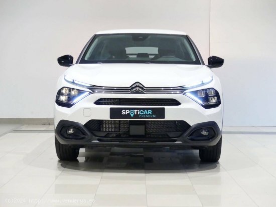 Citroën C4  BlueHDi 130 S&S EAT8 Max - Santander