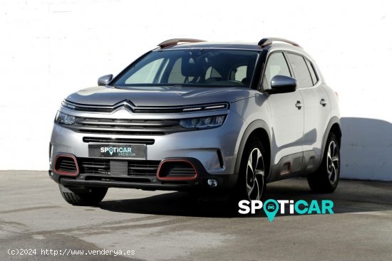 Citroën C5 Aircross  BlueHdi 96kW (130CV) S&S EAT8 C Series - Santander