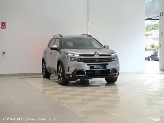 Citroën C5 Aircross  BlueHdi 96kW (130CV) S&S EAT8 C Series - Santander