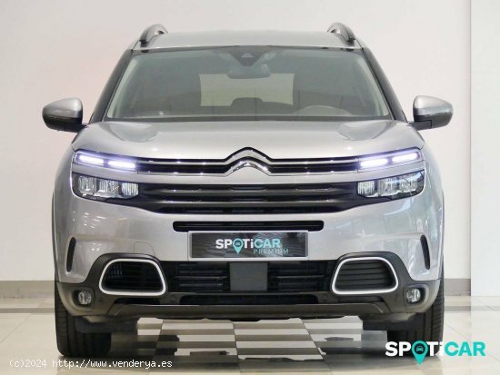 Citroën C5 Aircross  BlueHdi 96kW (130CV) S&S EAT8 C Series - Santander