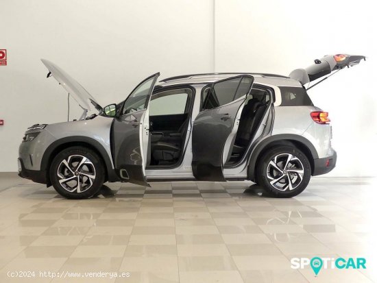 Citroën C5 Aircross  BlueHdi 96kW (130CV) S&S EAT8 Feel - Santander