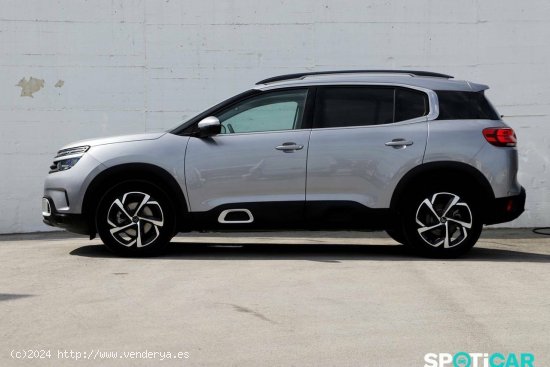 Citroën C5 Aircross  BlueHdi 96kW (130CV) S&S EAT8 Feel - Santander