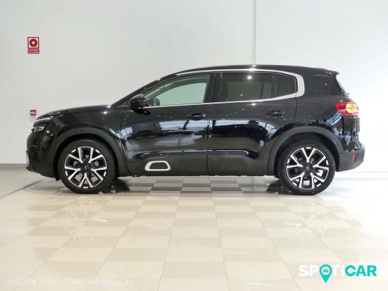 Citroën C5 Aircross  BlueHdi 96kW (130CV) S&S EAT8 Feel - Santander