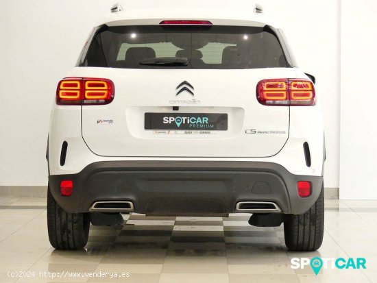 Citroën C5 Aircross  BlueHdi 96kW (130CV) S&S EAT8 Feel - Santander