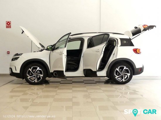 Citroën C5 Aircross  BlueHdi 96kW (130CV) S&S EAT8 Feel - Santander