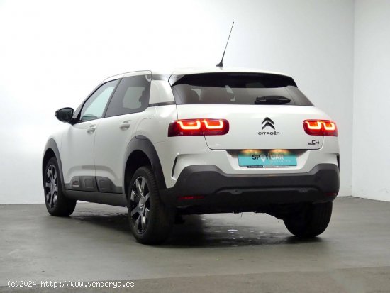 Citroën C4 Cactus  BlueHDi 74KW (100CV) S&S Shine - Granda (Siero)