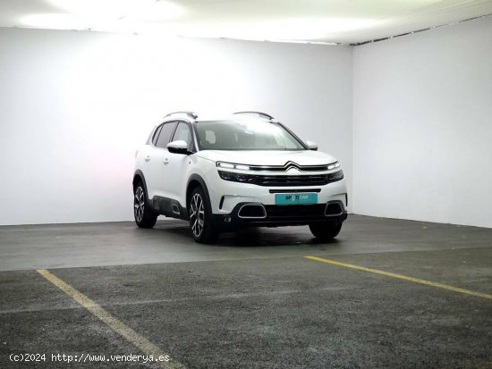 Citroën C5 Aircross  225 e-EAT8 Shine - Granda (Siero)