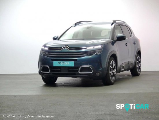 Citroën C5 Aircross  BlueHdi 132kW (180CV) S&S EAT8 Feel - Granda (Siero)