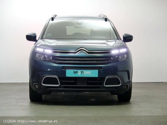 Citroën C5 Aircross  BlueHdi 132kW (180CV) S&S EAT8 Feel - Granda (Siero)