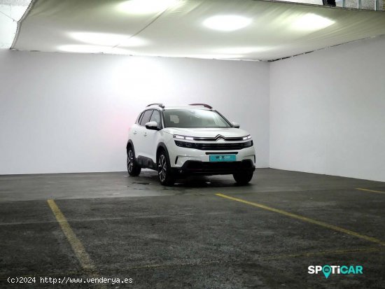 Citroën C5 Aircross  BlueHdi 96kW (130CV) S&S EAT8 Shine - Granda (Siero)