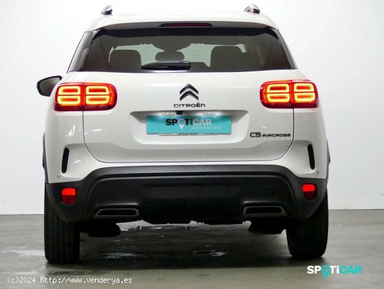 Citroën C5 Aircross  BlueHdi 96kW (130CV) S&S EAT8 Shine - Granda (Siero)