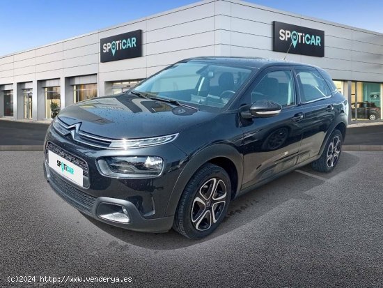  Citroën C4 Cactus  BlueHDi 100 S&S Feel - HUERCAL DE ALMERIA 