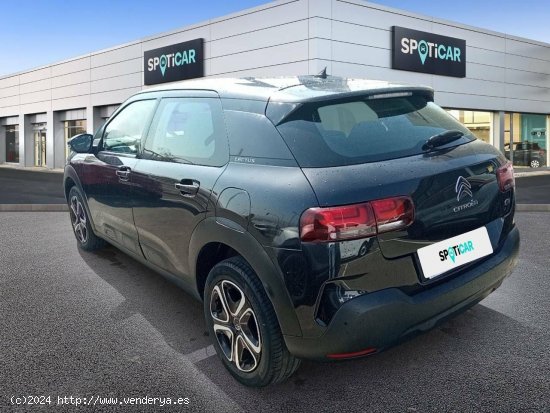 Citroën C4 Cactus  BlueHDi 100 S&S Feel - HUERCAL DE ALMERIA