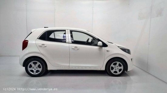 Kia Picanto  1.0 DPi 49kW (67CV) Concept - SANT FRUITOS DE BAGES