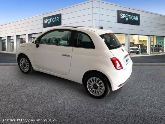 Fiat 500   1.0 Hybrid 51KW (70 CV) Dolcevita - JEREZ DE LA FRONTERA