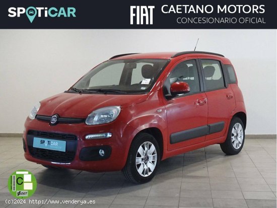 Fiat Panda  1.2  51kW (69CV) EU6 Lounge - Cadiz