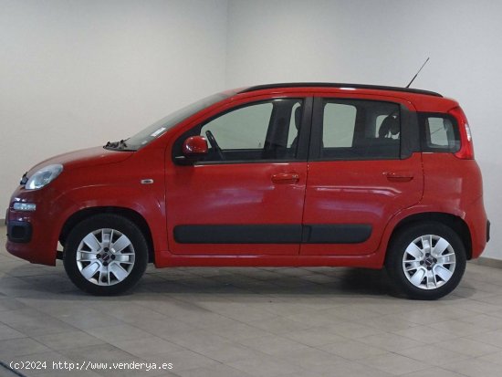 Fiat Panda  1.2  51kW (69CV) EU6 Lounge - Cadiz