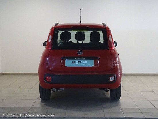 Fiat Panda  1.2  51kW (69CV) EU6 Lounge - Cadiz