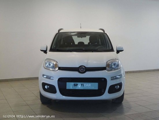 Fiat Panda  1.2  69cv Lounge - Cadiz