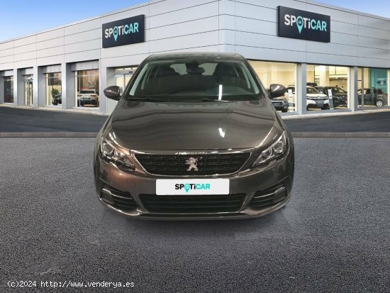 Peugeot 308  5p  PureTech 110 S&S Active Pack - Cadiz