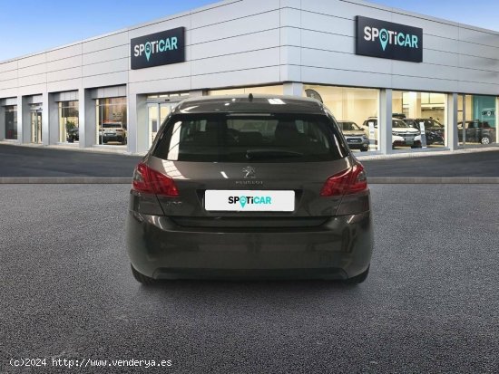 Peugeot 308  5p  PureTech 110 S&S Active Pack - Cadiz