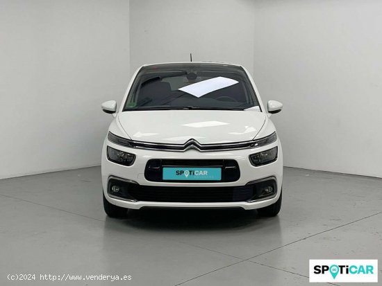 Citroën C4 Picasso  BlueHDi 88KW (120CV) EAT6 Feel - Girona