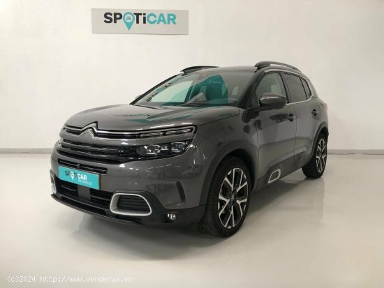  Citroën C5 Aircross  BlueHdi 96kW (130CV) S&S EAT8 Shine - Carbajosa de la Sagrada 