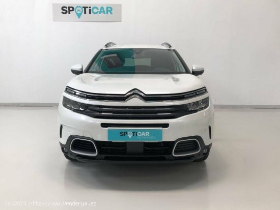 Citroën C5 Aircross  BlueHdi 96kW (130CV) S&S Feel - Carbajosa de la Sagrada