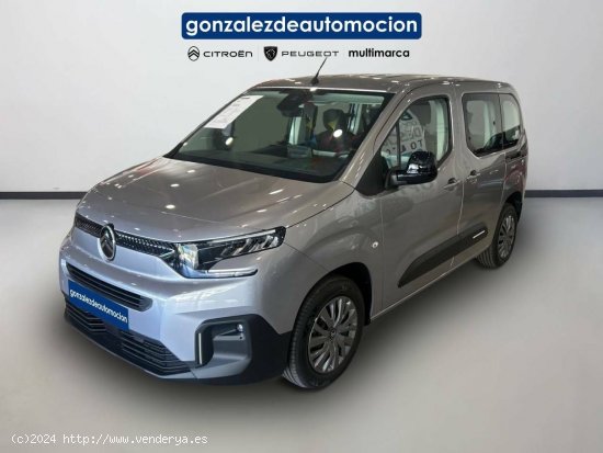 Citroën Berlingo  Talla M BlueHDi 100 S&S Plus - Úbeda