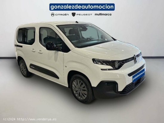 Citroën Berlingo  Talla M BlueHDi 100 S&S Plus - Úbeda